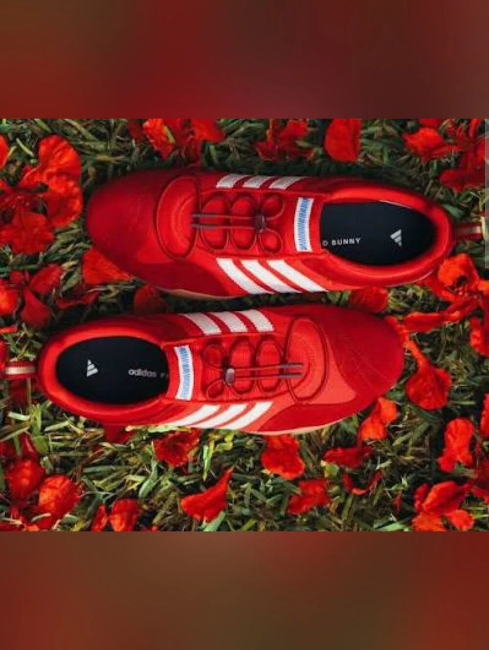 The Bad Bunny x Adidas Ballerina Flamboyan 5.5 Men, Women 6 1/2 - 38 - Picture 2 of 4